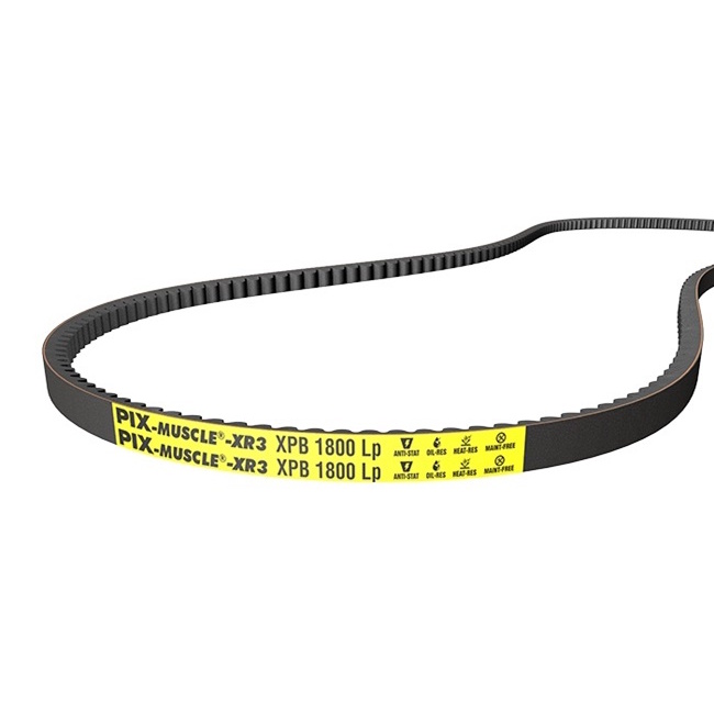 むぎ　36 ZX36 PIX Cogged V Belt - Ashley Bearings Ltd